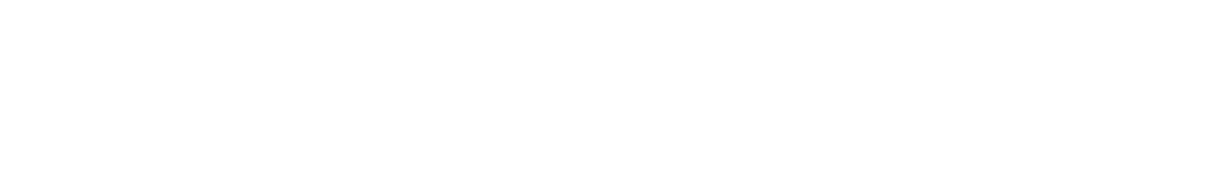 SUNPEEDE Speedbit Logo